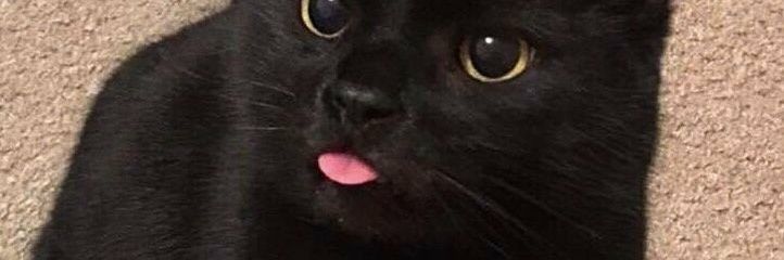 imnotsalmaa's profile banner image