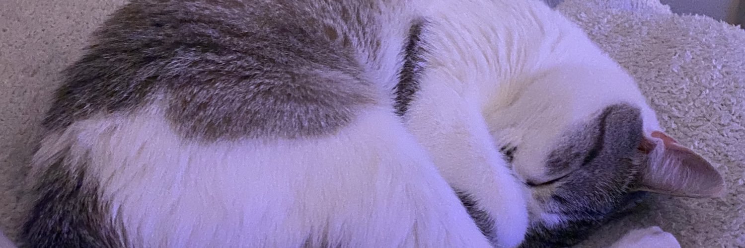 chelseakellerr's profile banner image