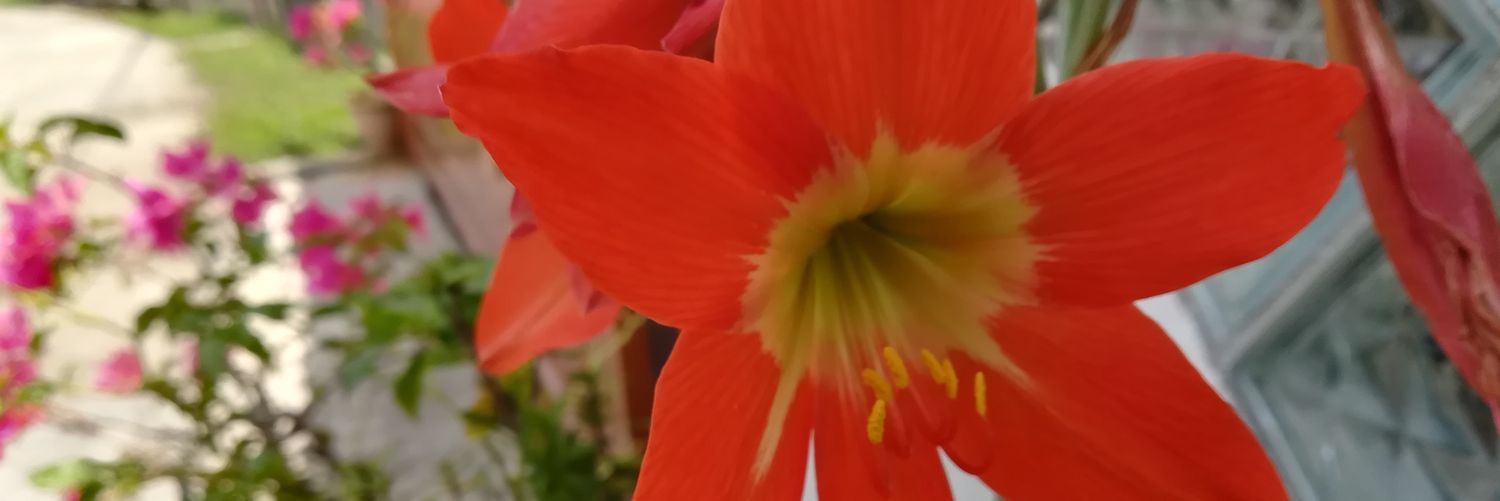 Alineth19's profile banner image