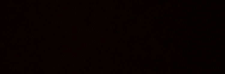 PiratePlaymates banner