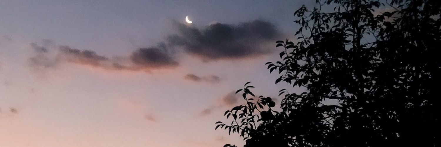 pofi_Ustane's profile banner image