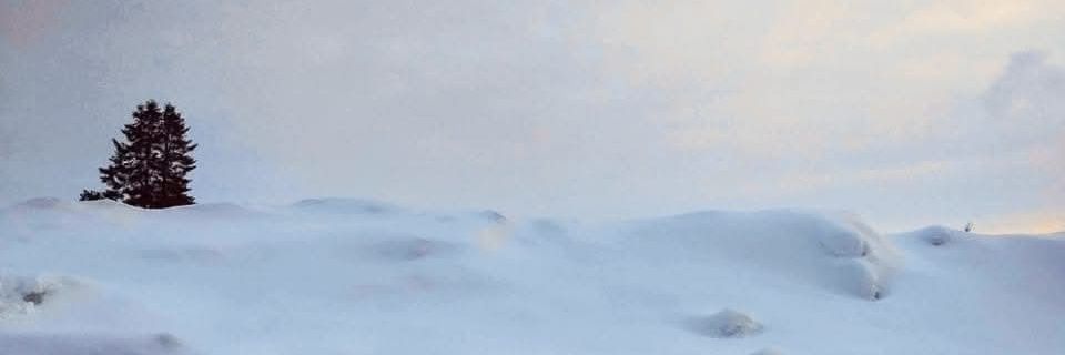 Gökçe Akbağ's banner
