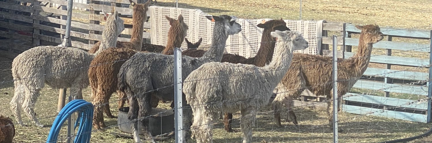 Ruby 🐱📚❤️‍🔥 banner