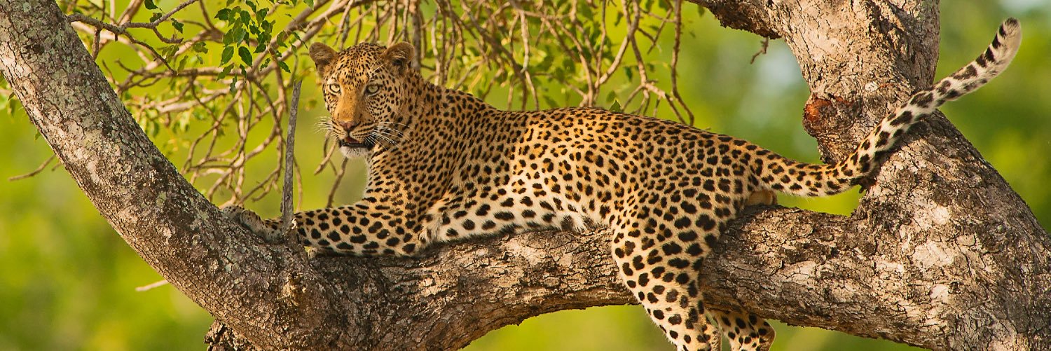 TravelBeyond's profile banner image