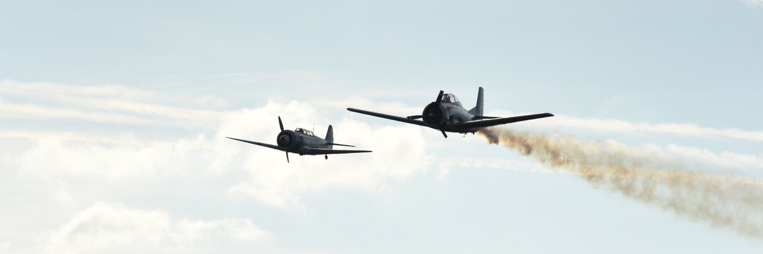 die Stimme aus dem Süden banner