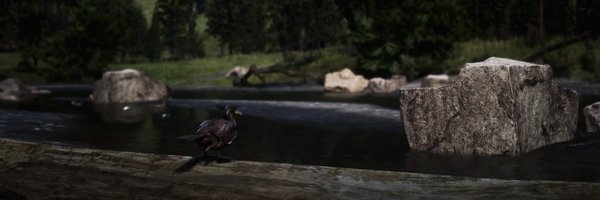 abigailscoffee Profile Banner