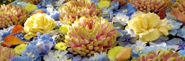 daicha14 Profile Banner