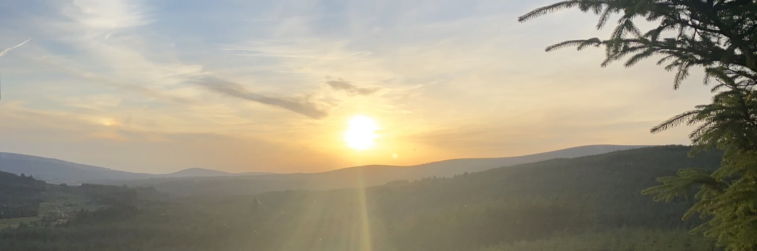 tashmurphyx's profile banner image