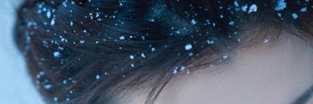 lidachu593970's profile banner image