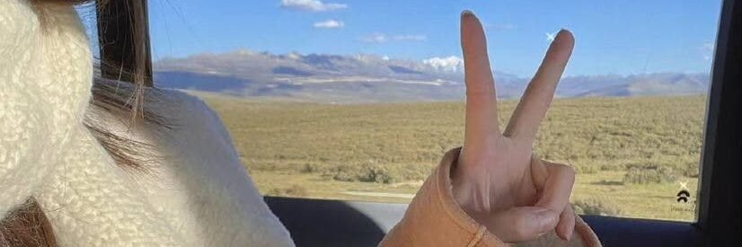 IreneeLeighton's profile banner image