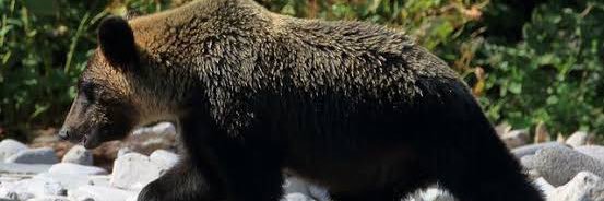 atuau2023's profile banner image