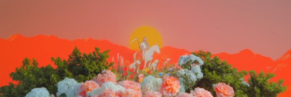 dstycstl Profile Banner