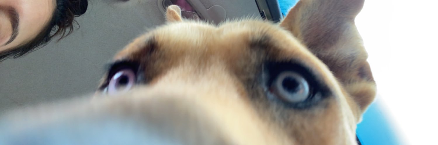 anneyehC's profile banner image