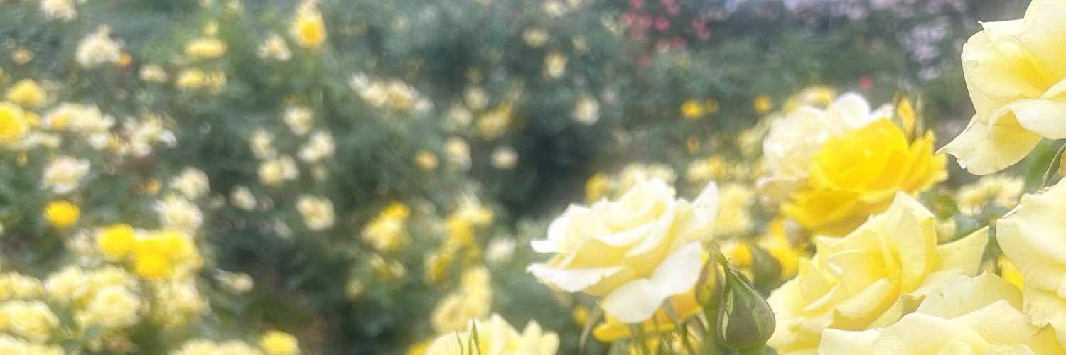 wqter_2's profile banner image
