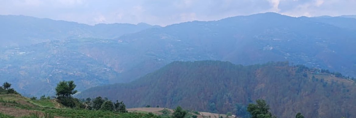 AnantTwts banner