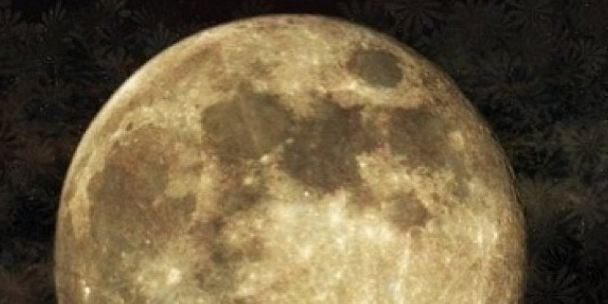 fo_fy77's profile banner image