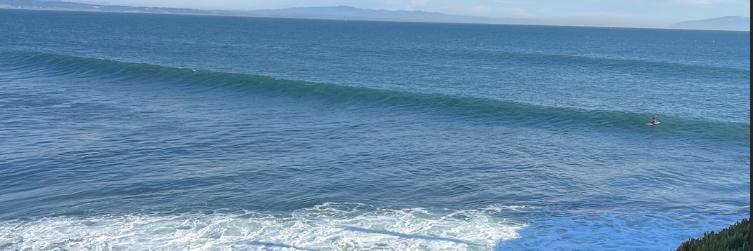 William Fitzgerald banner