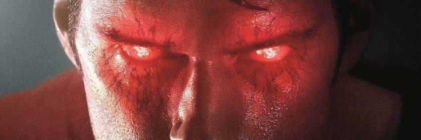 Niko banner