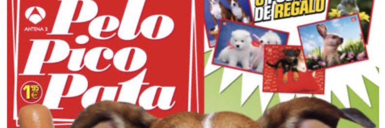 Rafurra Furutsa banner