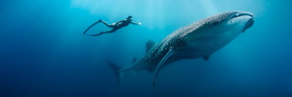 agulhasocean Profile Banner