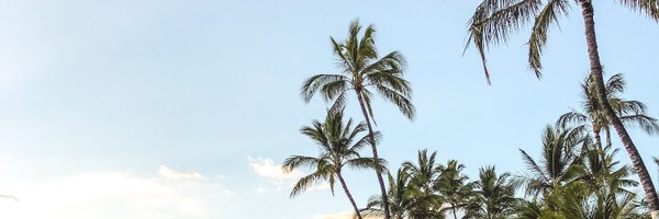 Nels Profile Banner