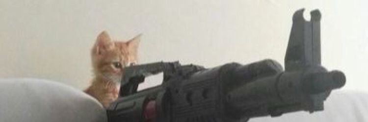 caitlinmarisa's profile banner image