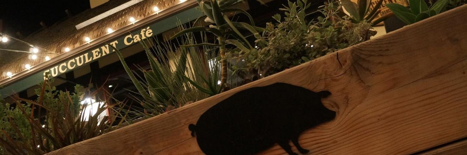 Succulent_Cafe's profile banner image