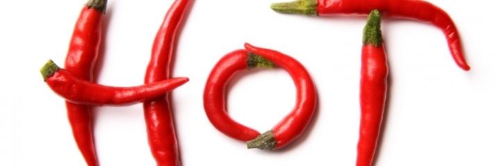 Mrsmith1313's profile banner image