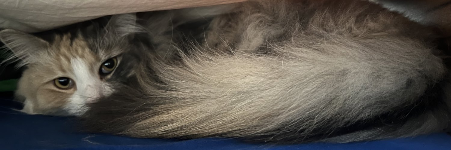 キム　ヒョンシク / Hyunsik Kim banner