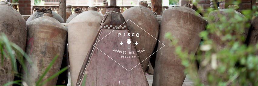 MuseoDelPisco's profile banner image