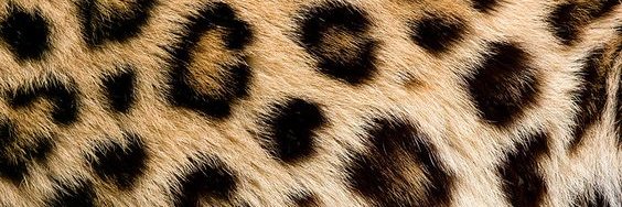 Kaloian__'s profile banner image