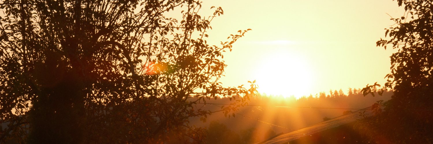peps95's profile banner image
