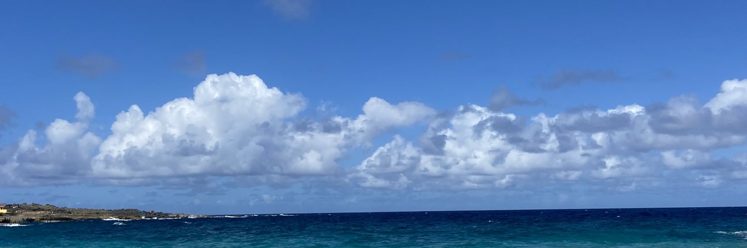 macaroniphoebe's profile banner image