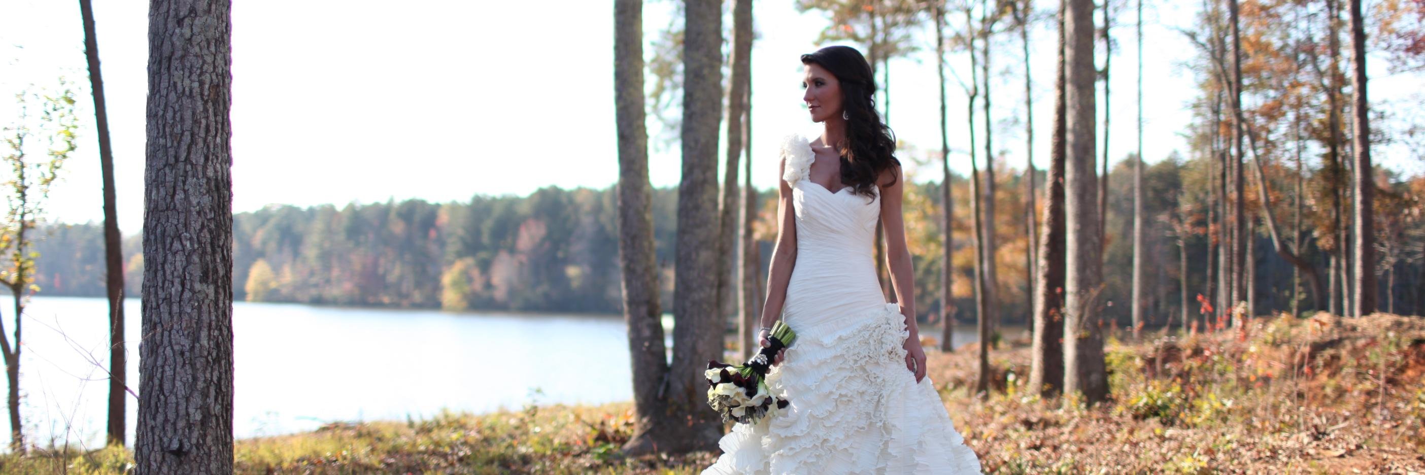 SaraLSnow's profile banner image