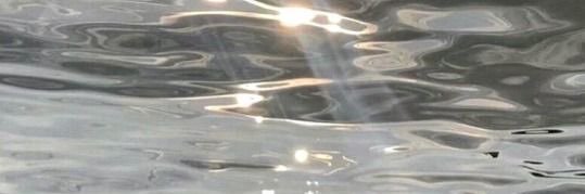 ı̣ı̣ ɯ ɐ banner