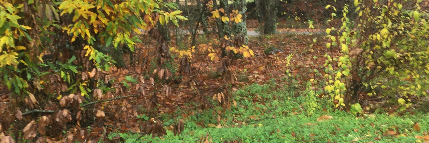 BDSMPLAS's profile banner image