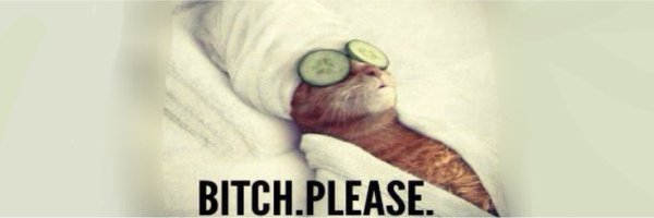 Exallerliebst Profile Banner