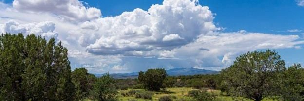 @CurtisBerger89 banner