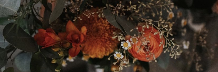 maddie_jo_'s profile banner image