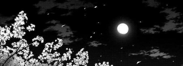 hydrangealuuna8's profile banner image