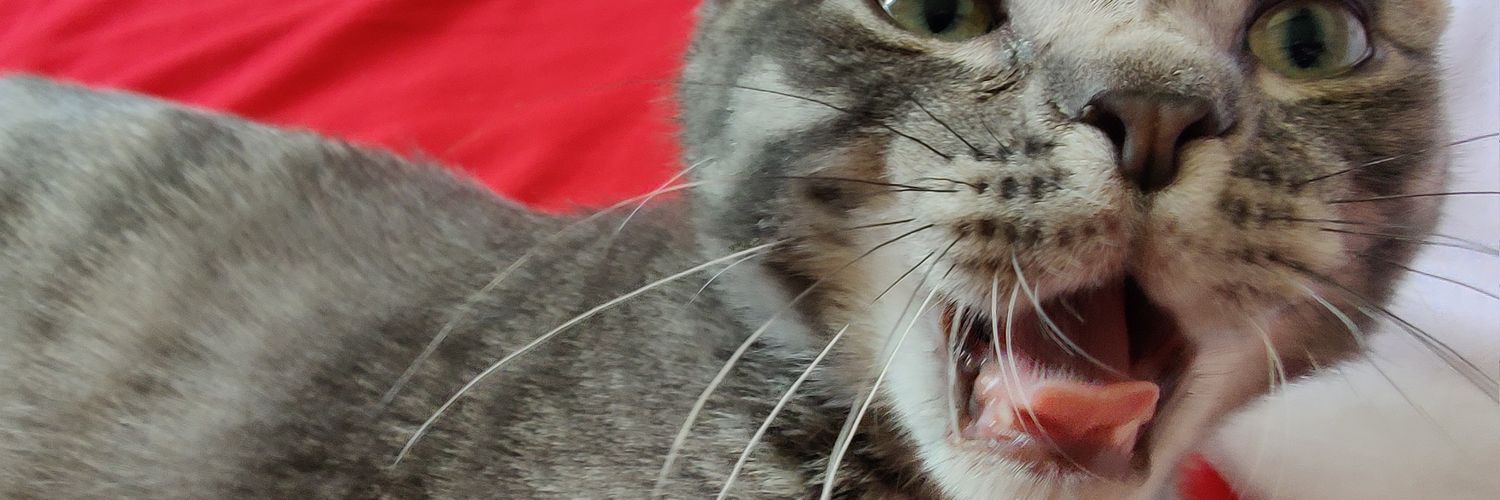 wordsunknown's profile banner image