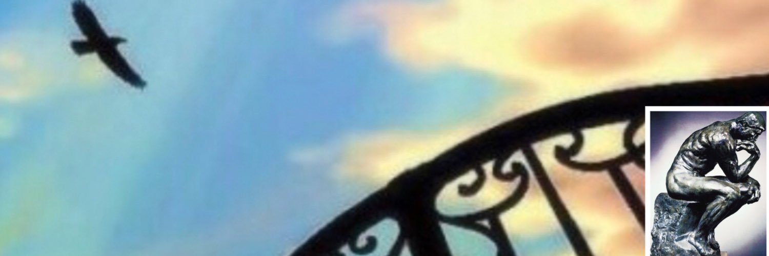 Birds want to fly's banner