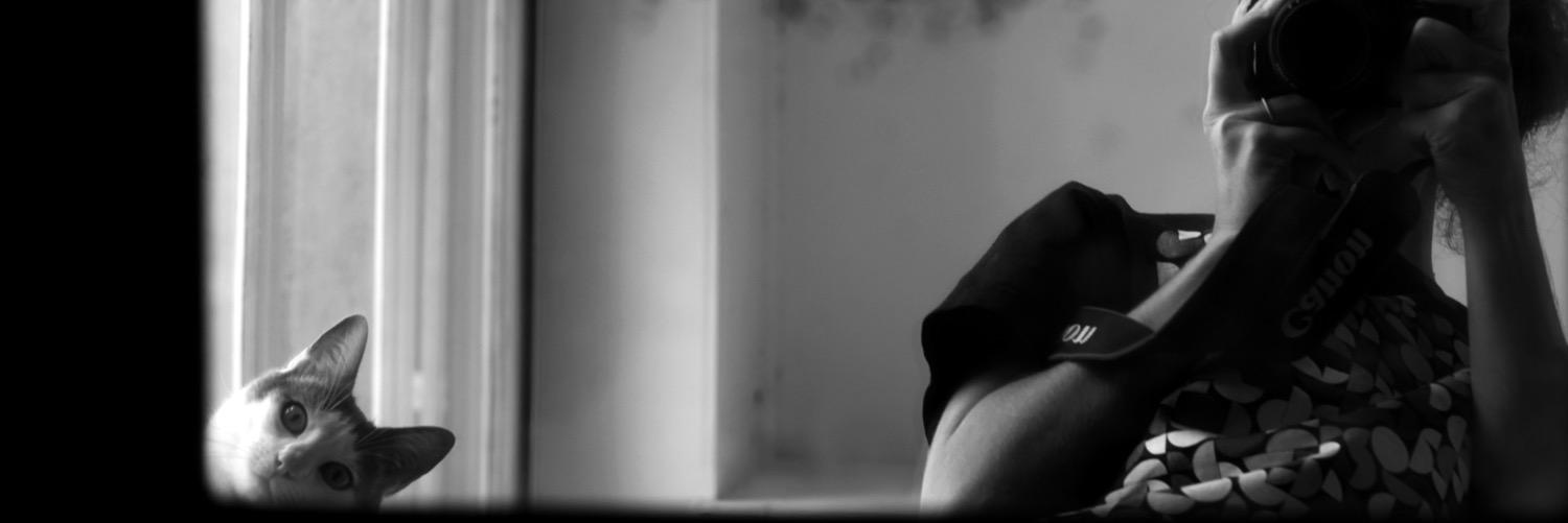 creaito's profile banner image