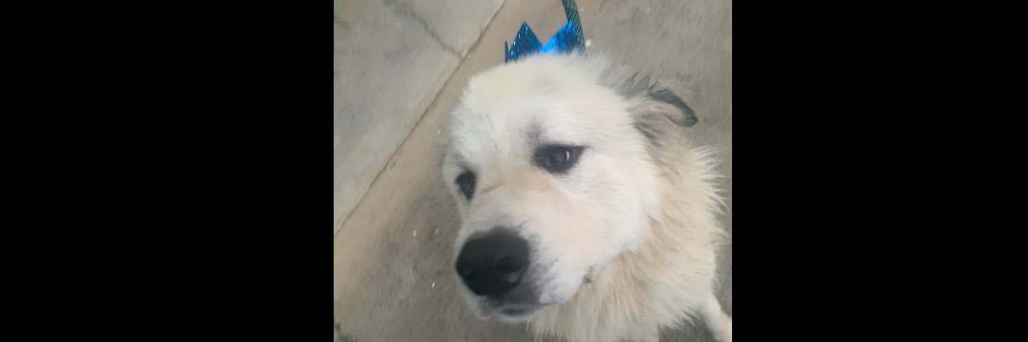 Barrioss10's profile banner image
