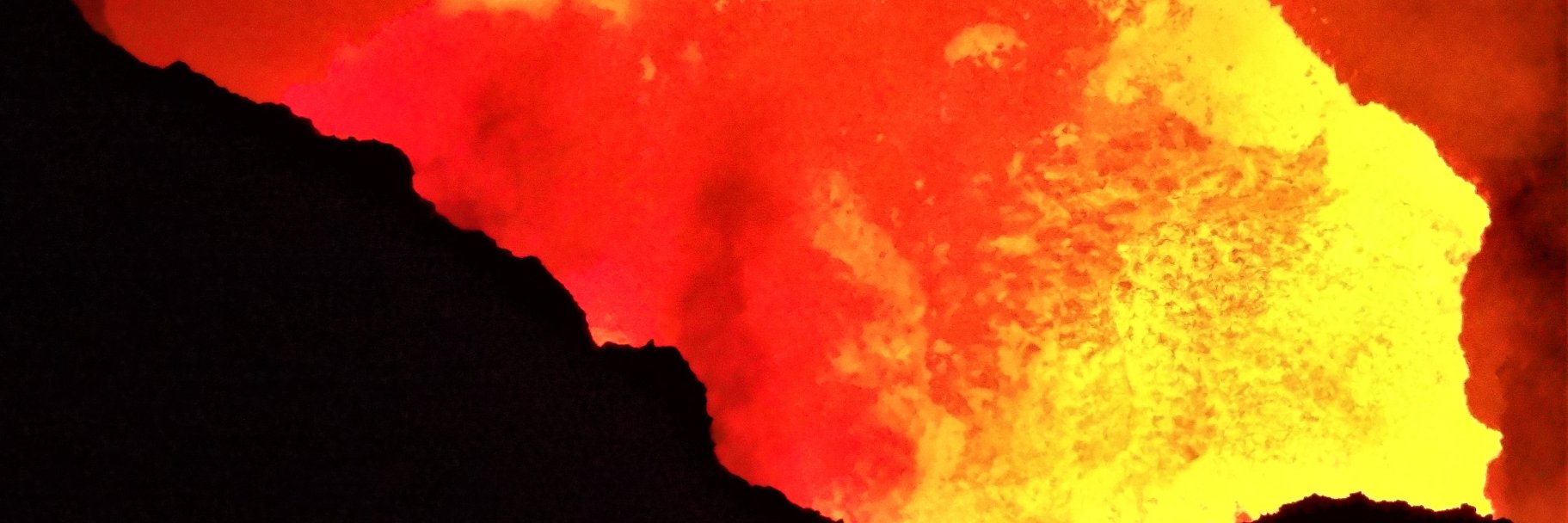 Isabelle Taylor banner