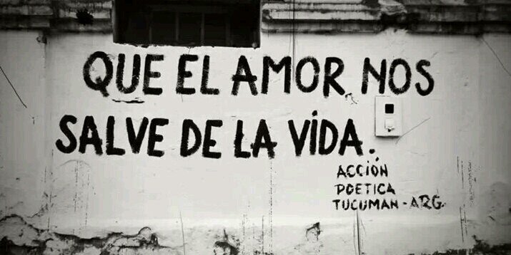 Coral Palacios banner