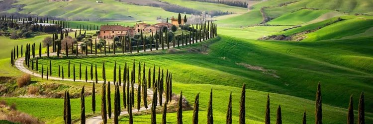 Signore Gondi ⚜️'s banner