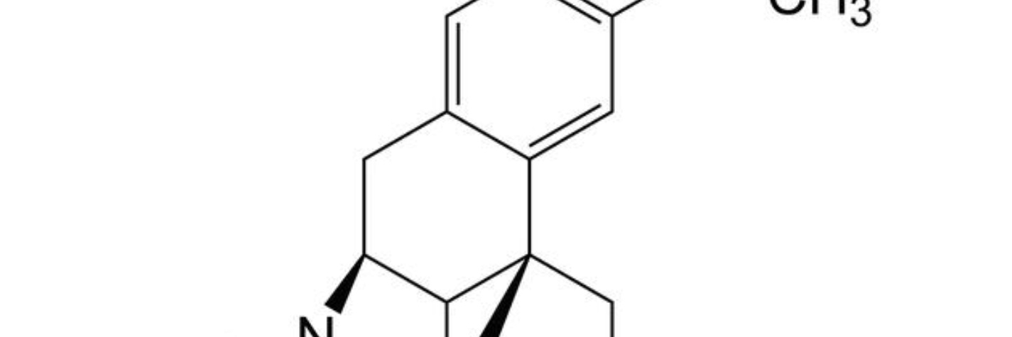 Dm_trippy's profile banner image