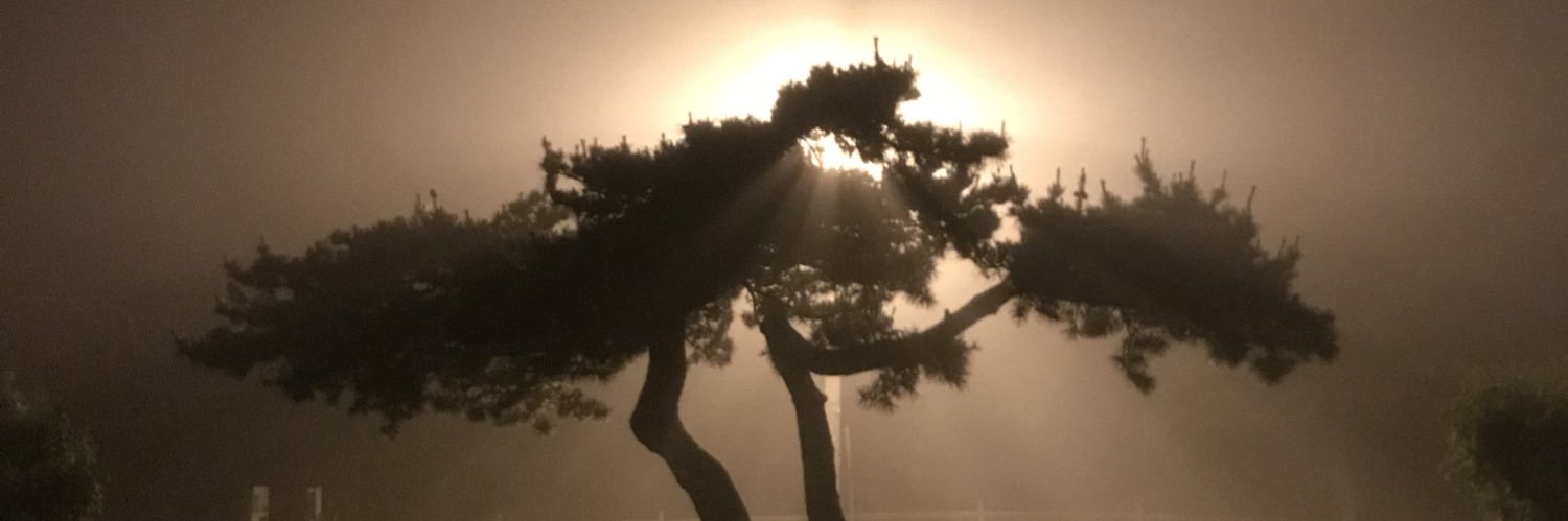 ptrkmcgvrn's profile banner image