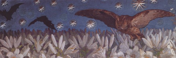 evening Profile Banner